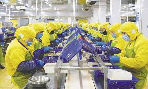 新風(fēng)口新賽道上的拼搶和吶喊 我市預(yù)制菜企業(yè)發(fā)展一線觀察