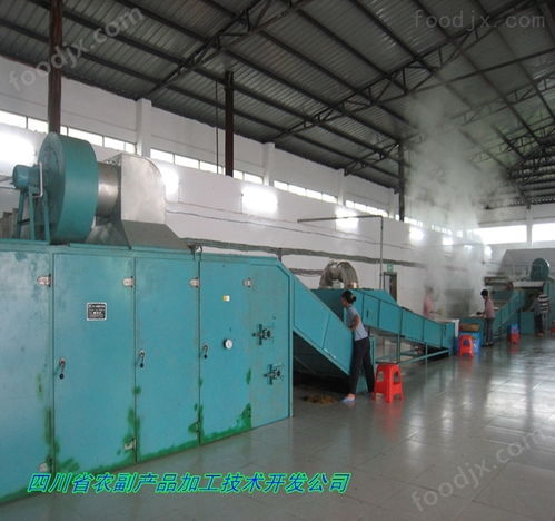高良姜烘干機(jī)與電熔鎂生產(chǎn) 良姜快速干燥的關(guān)鍵設(shè)備